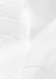 Koberce Breno leták Strana 2