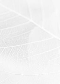 Koberce Breno leták Strana 211