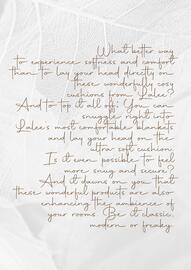 Koberce Breno leták Strana 61