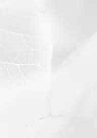 Koberce Breno leták Strana 2