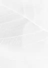 Koberce Breno leták Strana 211