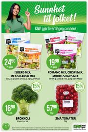 Kiwi kundeavis Side 18