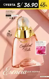 Catálogo Azzorti Página 102