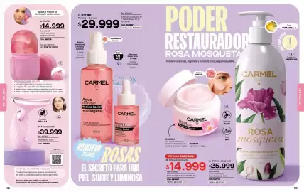 Catálogo Loguin Página 62