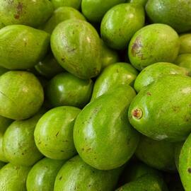 Catálogo Éxito semana 1 Página 1