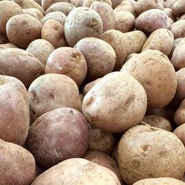 Catálogo Éxito semana 1 Página 3