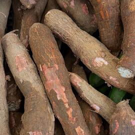 Catálogo Éxito semana 1 Página 5