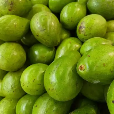 Catálogo Éxito (válido hasta 7-01)