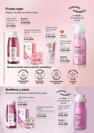 Catálogo Natura Página 102