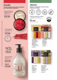 Catálogo Natura Página 113