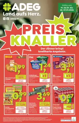 ADEG Flugblatt (gültig bis 8-01)