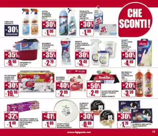 Volantino Il Gigante Pagina 25