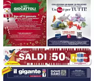 Volantino Il Gigante Pagina 48