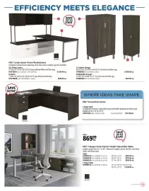 Covey Basics flyer Page 13