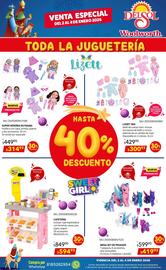 Folleto DelSol Página 3