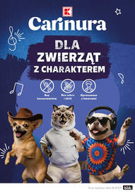 Kaufland gazetka Strona 24