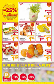 Billa Flugblatt woche 1 Seite 8