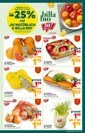 Billa Flugblatt woche 1 Seite 4