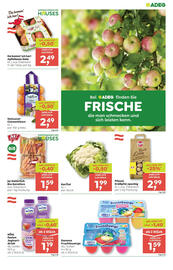 ADEG Flugblatt woche 1 Seite 3