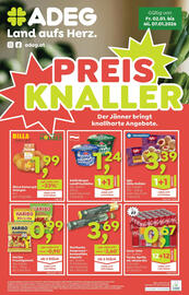ADEG Flugblatt woche 1 Seite 1