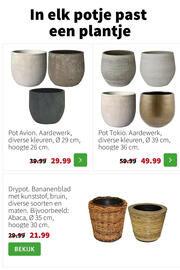 Intratuin folder week 2 Pagina 14