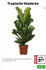 Intratuin folder week 2 Pagina 2