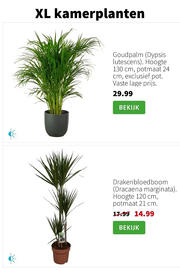 Intratuin folder week 2 Pagina 3