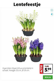 Intratuin folder week 2 Pagina 6