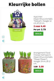 Intratuin folder week 2 Pagina 7