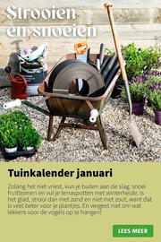 Intratuin folder week 2 Pagina 8