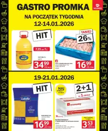 Selgros gazetka Strona 17