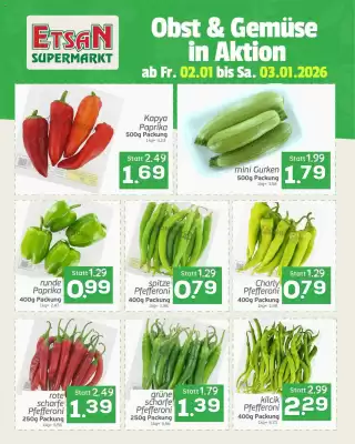 ETSAN Flugblatt (gültig bis 3-01)