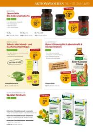 Martin Reformstark Flugblatt Seite 15