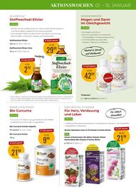 Martin Reformstark Flugblatt Seite 5