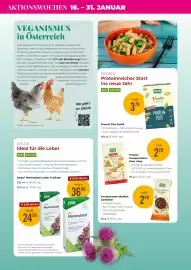 Martin Reformstark Flugblatt Seite 10