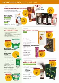 Martin Reformstark Flugblatt Seite 12