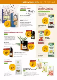 Martin Reformstark Flugblatt Seite 13