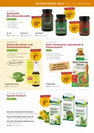 Martin Reformstark Flugblatt Seite 15