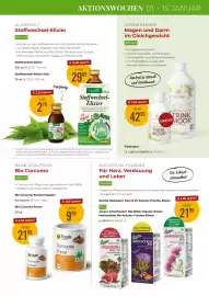 Martin Reformstark Flugblatt Seite 5