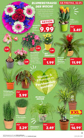 Kaufland Prospekt woche 1 Seite 5