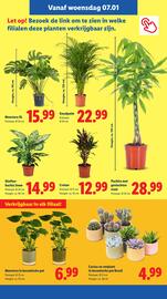 Lidl folder week 2 Pagina 17