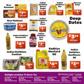 Indian Frootland flyer Page 3