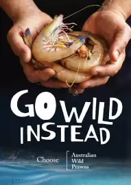 CORNETTS catalogue Page 16