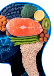 CORNETTS catalogue Page 73