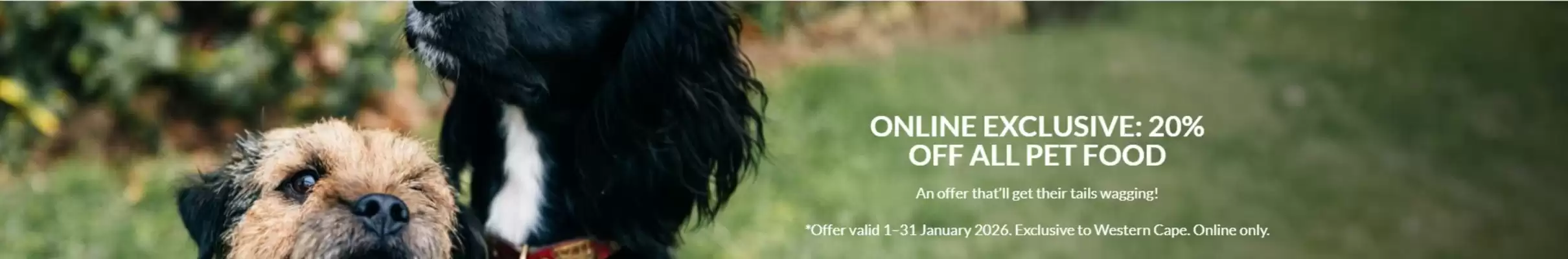 Stodels catalogue (valid until 31-01)