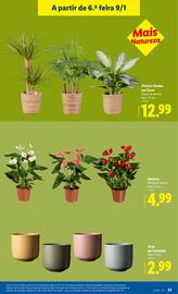 Folheto Lidl | Novidades Página 23