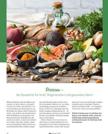 Globus Magazin Seite 10