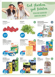 V Markt Prospekt woche 2 Seite 14