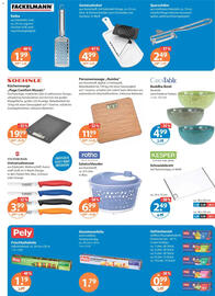 V Markt Prospekt woche 2 Seite 17