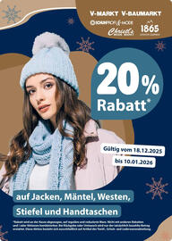 V Markt Prospekt woche 2 Seite 21